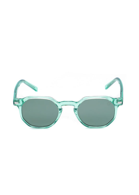 TAYLOR GREEN RAYBAN